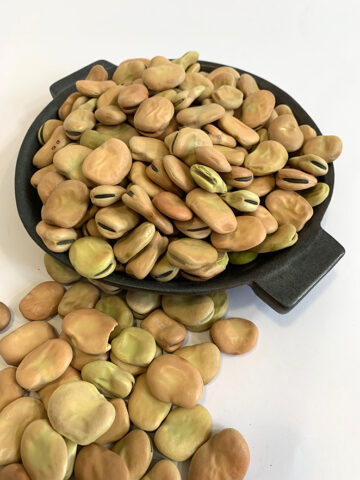 Broad Beans