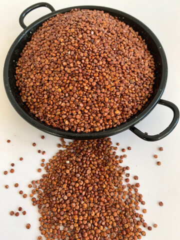 Quinoa Red