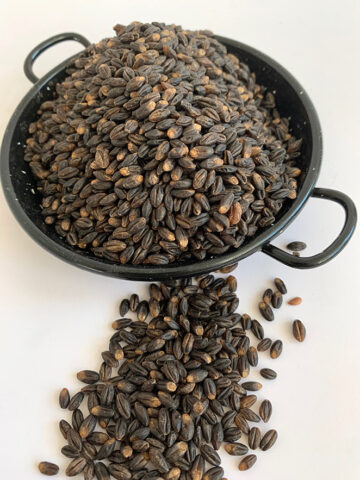 Barley Black