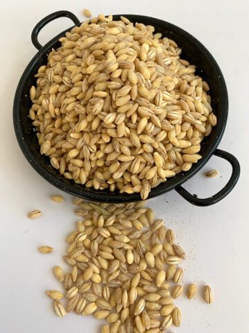 Barley Pearl